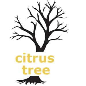 Citrus Tree